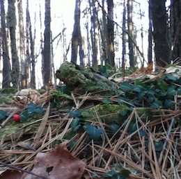 Upper Bowker's Woods