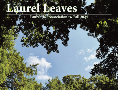 Laurel Leaves Newsletter 2024