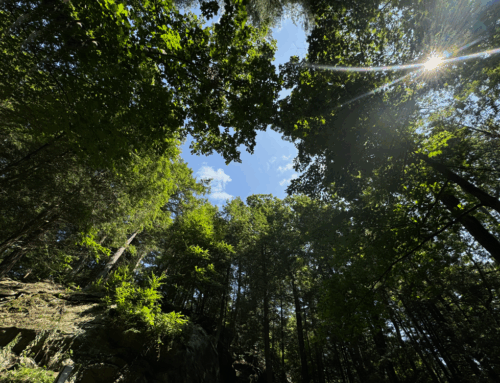 Laurel Hill Day: 172 Years of Tradition