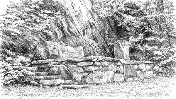 rostrum-sketch
